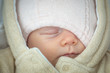 Babypirat