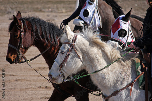 Photo: chariot racing chariot racing