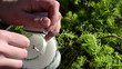 hand fire candle match put grave cemetery graveyard