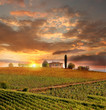 Foto: Chianti vineyard landscape in Tuscany, Italy Chianti vineyard landscape in Tuscany, Italy