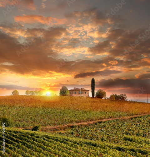 Photo: Chianti vineyard landscape in Tuscany, Italy Chianti vineyard landscape in Tuscany, Italy