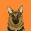 German Shepherd