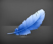 Vektor: Feather Feather