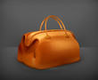 Vintage bag