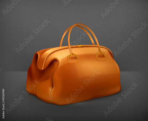 Vector: Vintage bag Vintage bag