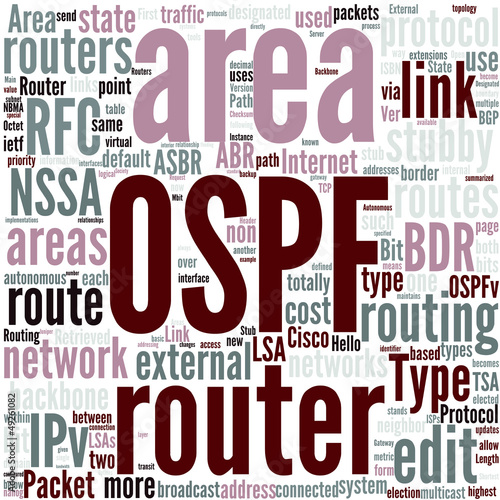 Vector: Area Border Router Concept Area Border Router Concept