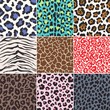 seamless animal skin fabric pattern