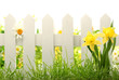 Garden In Spring Garden In Spring