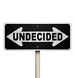 Undecided Word Two-Way Road Sign - Isolated