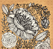 Vector hand drawn illustration with flowers