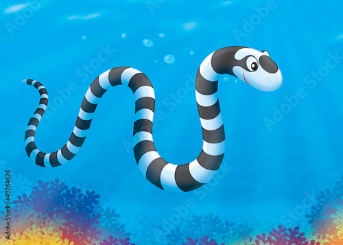 Illustration: Sea snake swimming over a coral reef Sea snake swimming over a coral reef