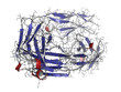 Alemtuzumab Fab fragment computer model.