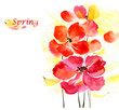 Watercolor spring flowers