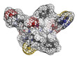 Cobicistat HIV drug