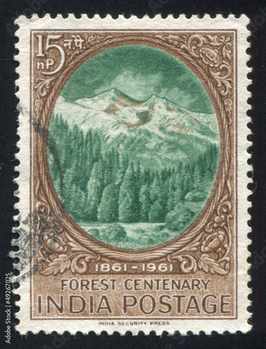 Photo: Forest and Himalayas Forest and Himalayas