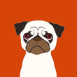 Pug