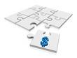 solution puzzle