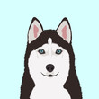 Siberian Husky