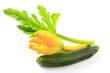 Zucchini