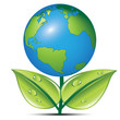 EARTH LEAVES