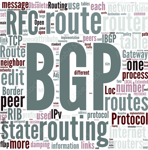 Vector: Border Gateway Protocol Concept Border Gateway Protocol Concept