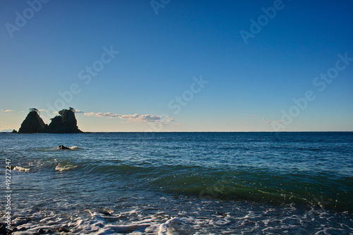 Photo: 伊豆 逢ヶ浜の雀岩と波 伊豆 逢ヶ浜の雀岩と波