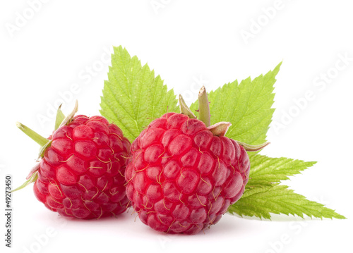 Photo: Ripe raspberries Ripe raspberries