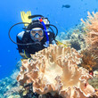 Photo: Scuba diver Scuba diver