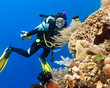 Photo: Scuba diver Scuba diver