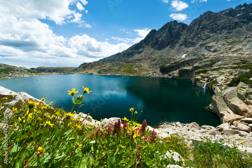 Photo: Mountain Flowers Landscape Colorado Mountain Flowers Landscape Colorado
