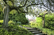 Japanese garden