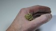 Moxibustion, chinesische Wärmetherapie