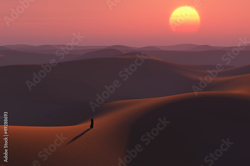 Illustration: wanderer in the desert wanderer in the desert