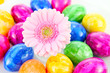 Gerberablüte zwischen Ostereiern