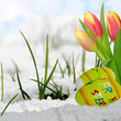 Frohe Ostern