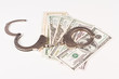 arrested money