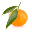 ripe mandarin
