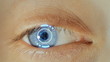 Eyeball with Biometric scan effect