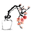plum blossom