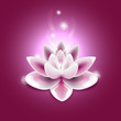 composition_with_lotus