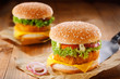 Fast food meanl made of tasty hamburgers