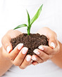 The future of the planet is in our hands