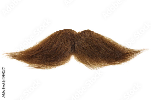 Photo: Brown mustache isolated on white Brown mustache isolated on white