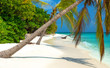 canvas print picture - Tropischer Strand auf den Malediven