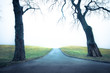 Photo: Empty path with trees on a cold day Empty path with trees on a cold day