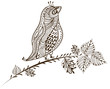 vintage bird