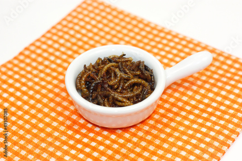 Photo: insectes comestibles insectes comestibles