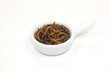 insectes comestibles