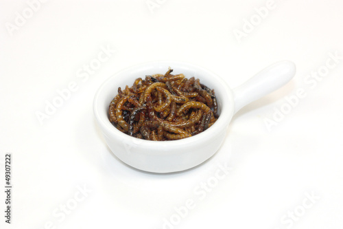 Photo: insectes comestibles insectes comestibles