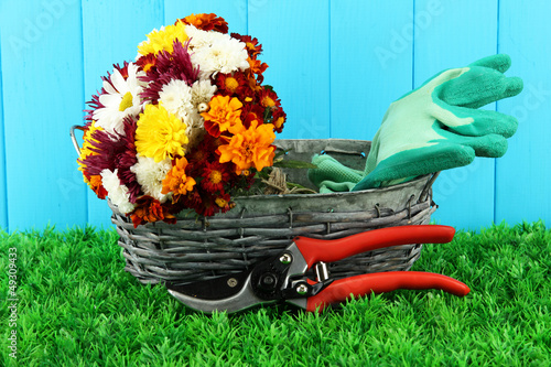 Photo: Secateurs with flowers in basket on wooden background Secateurs with flowers in basket on wooden background